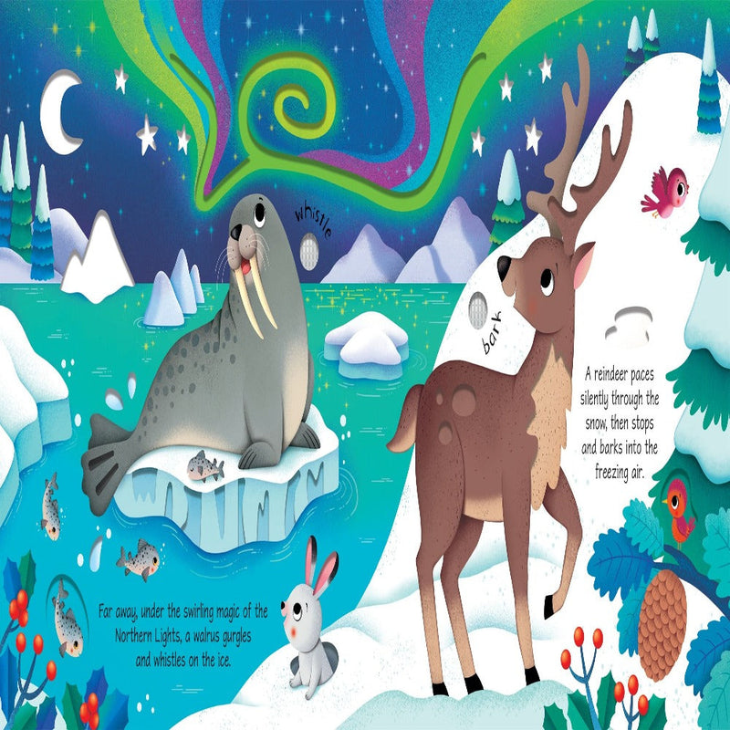 Usborne Sound Books