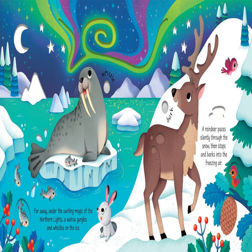 Usborne Sound Books