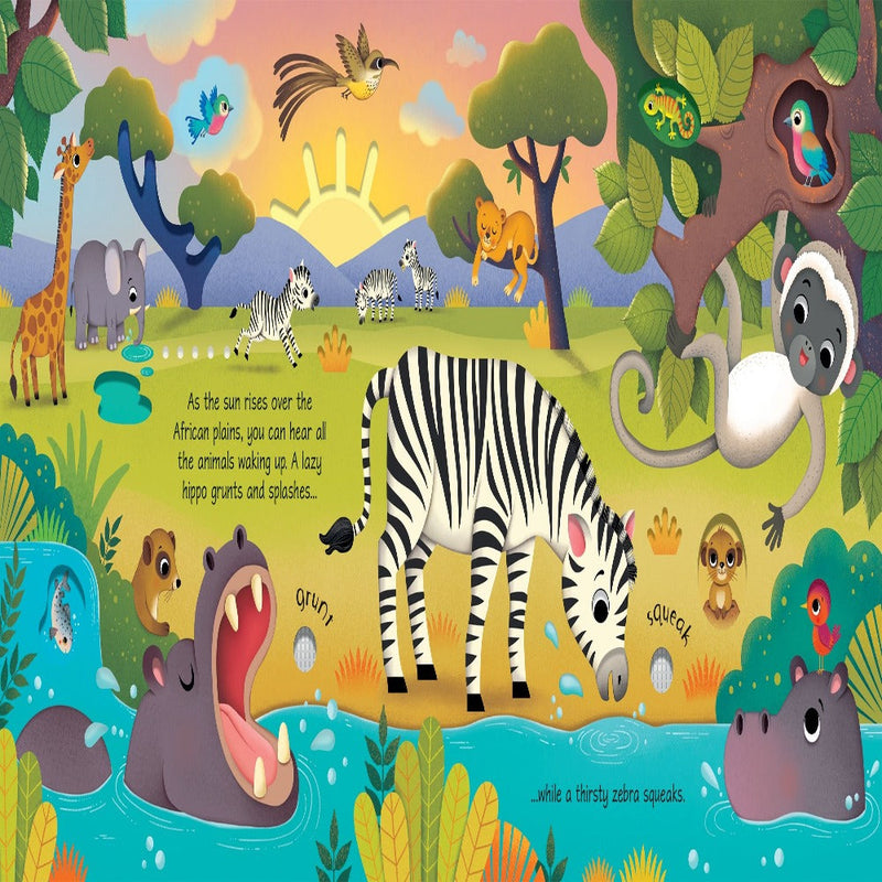 Usborne Sound Books