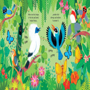 Usborne Sound Books