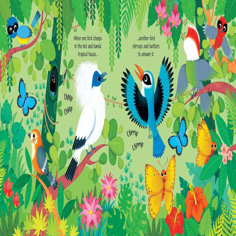 Usborne Sound Books