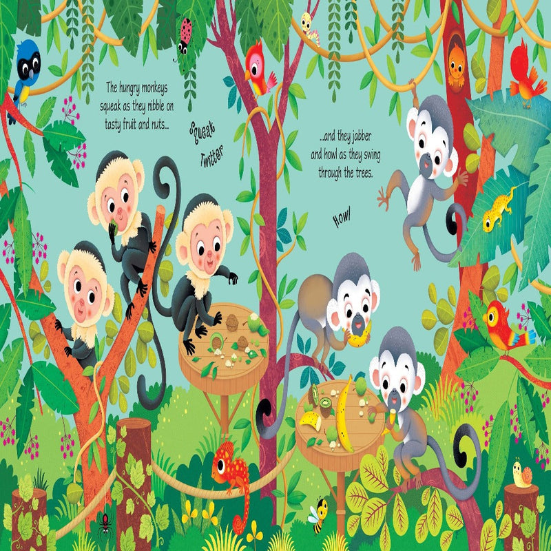 Usborne Sound Books
