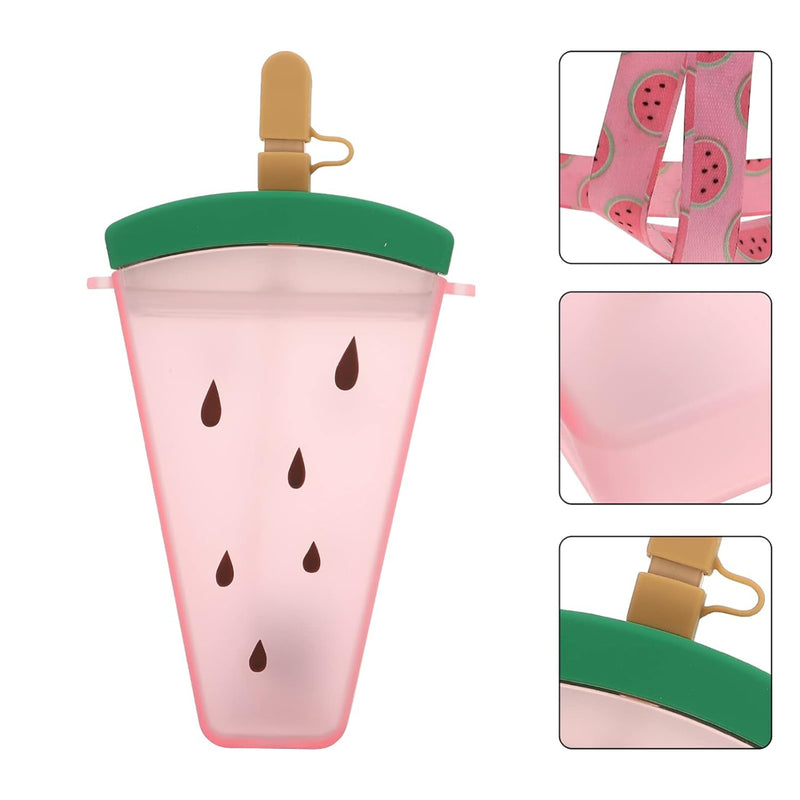 VHV Fruit Popsicle Bottle - 320Ml