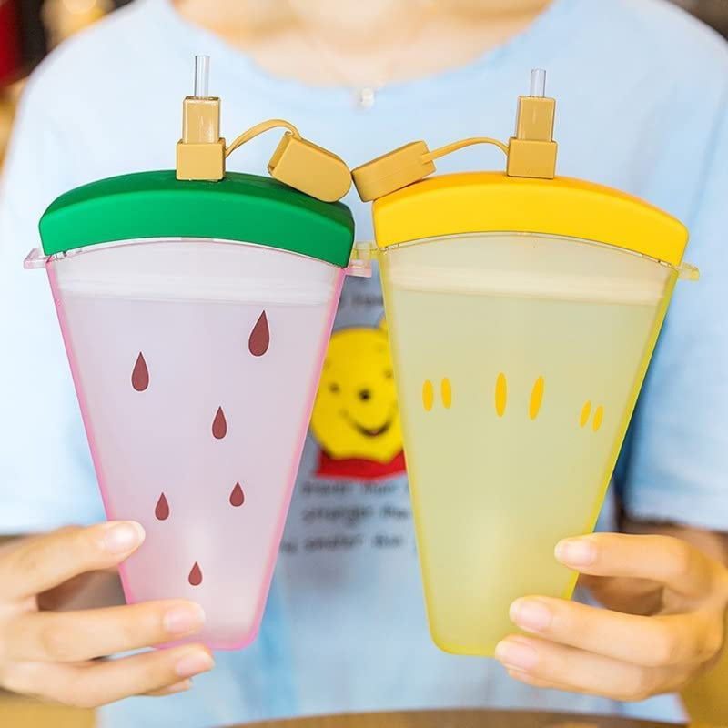 VHV Fruit Popsicle Bottle - 320Ml