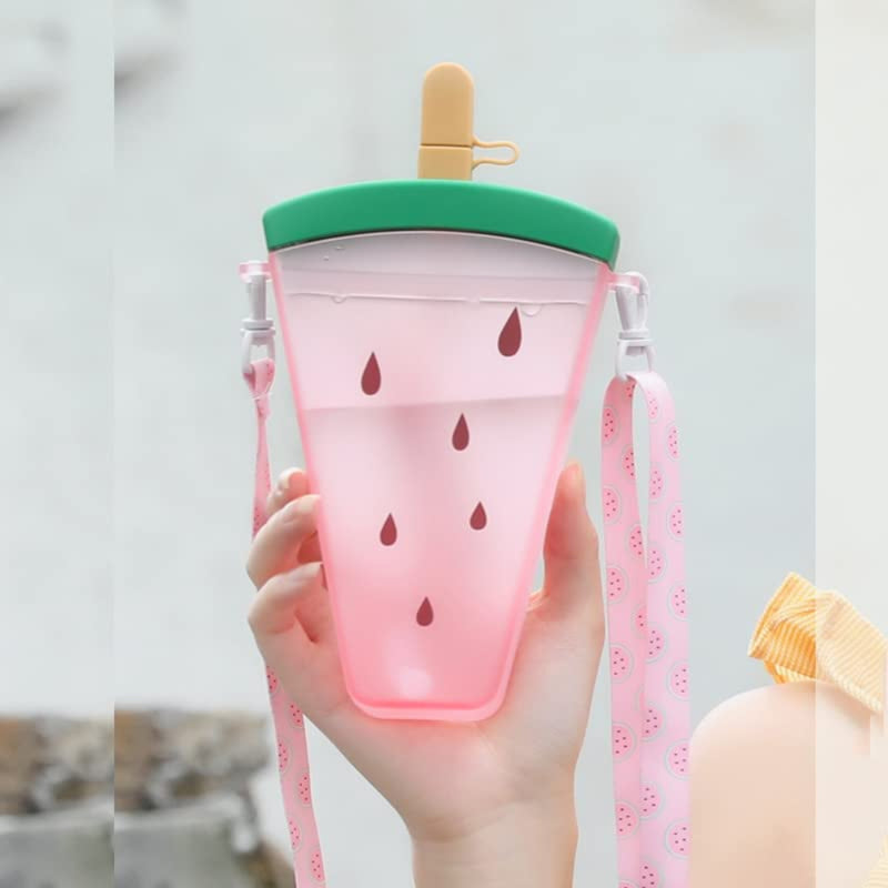 VHV Fruit Popsicle Bottle - 320Ml