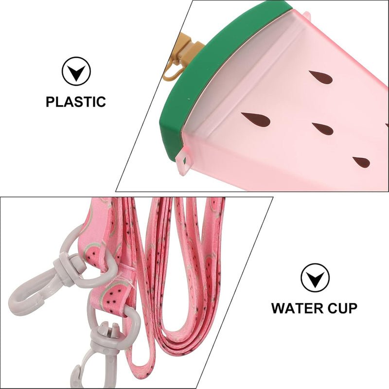 VHV Fruit Popsicle Bottle - 320Ml