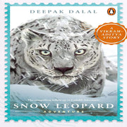 Vikram–Aditya Adventure Series by Deepak Dalal