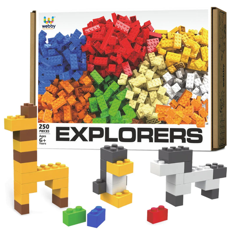 Webby ABS Building Blocks (250 pcs)