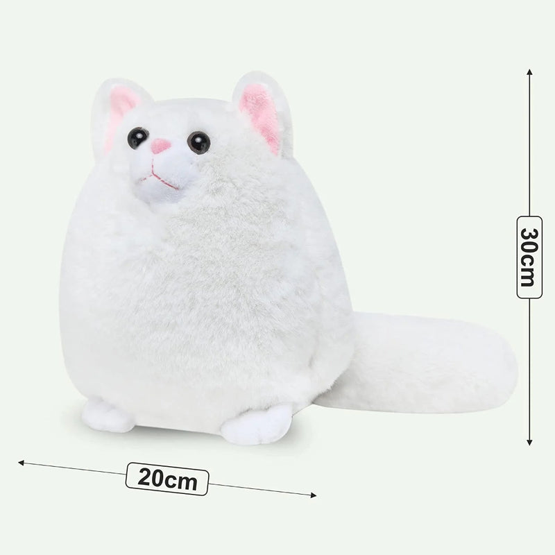 Webby Plush Cute and Adorable Fat Fluffy Cat Soft Toy