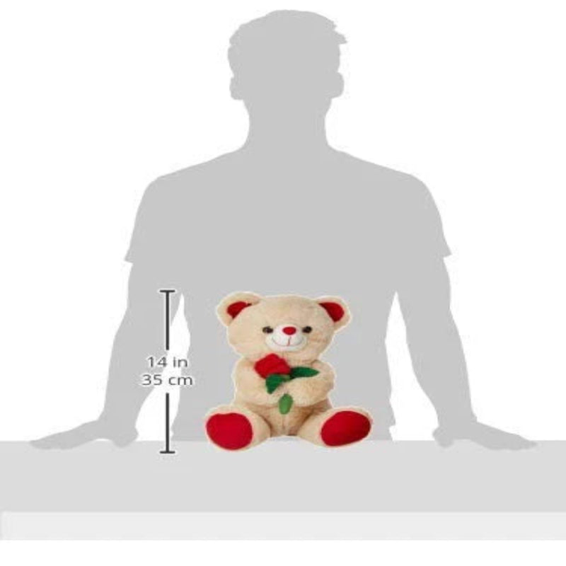 Webby Soft Cute Teddy Bear With Flower
