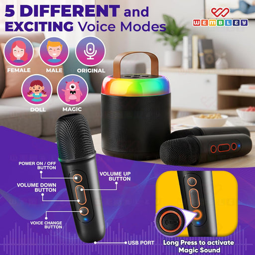 Wembley Bluetooth Karaoke Speaker Set