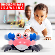 Wembley Crawling Crab - multicolor
