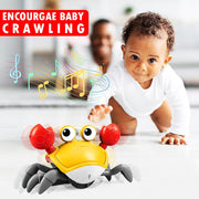 Wembley Crawling Crab - multicolor