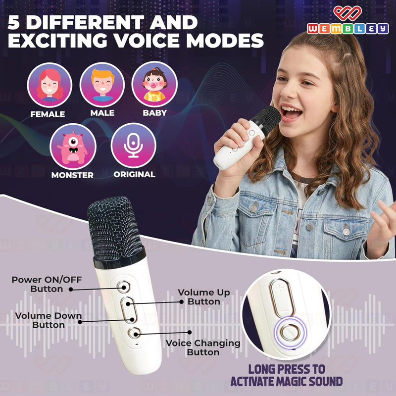 Wembley Karaoke Bluetooth Speaker