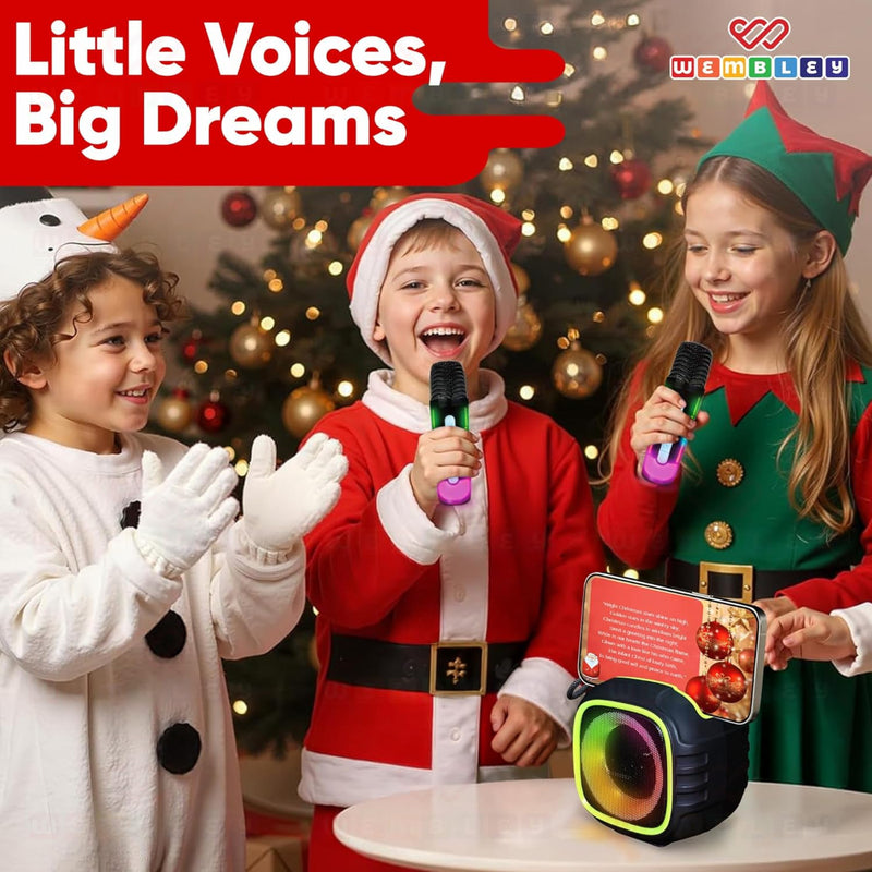 Wembley Karaoke Mic with Speaker Bluetooth