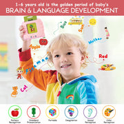Wembley Talking Flash Cards