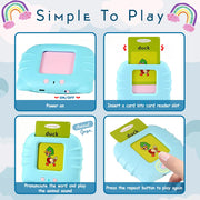 Wembley Talking Flash Cards