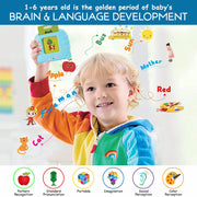 Wembley Talking Flash Cards