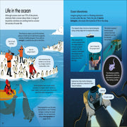 What Do Scientists Do?