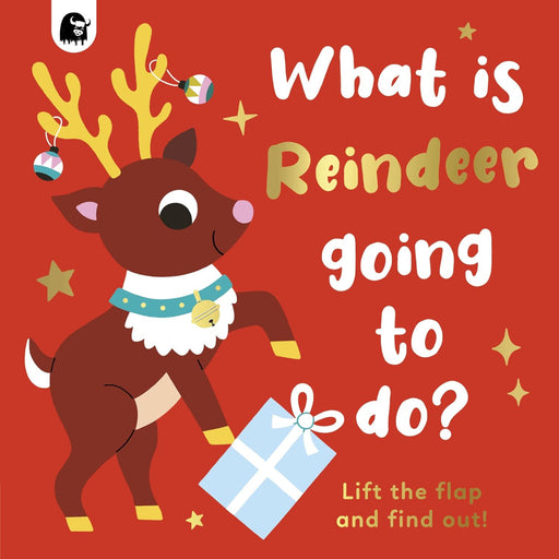 What Is Reindeer Going To Do?-Board Book-Hc-Toycra