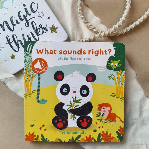 What Sounds Right?-Sound Book-Toycra Books-Toycra