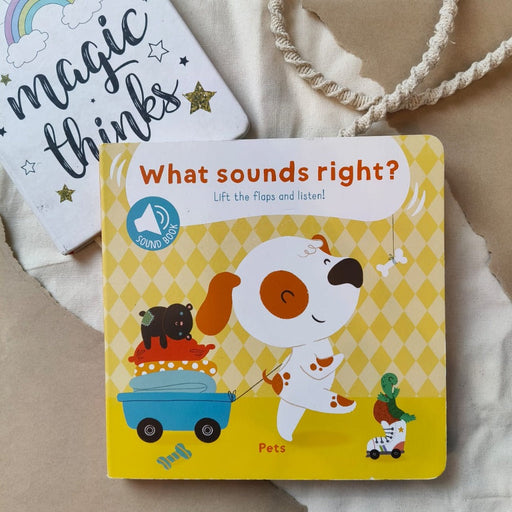 What Sounds Right?-Sound Book-Toycra Books-Toycra