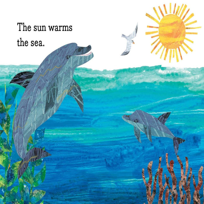 Where Is The Sun?-Picture Book-SS-Toycra