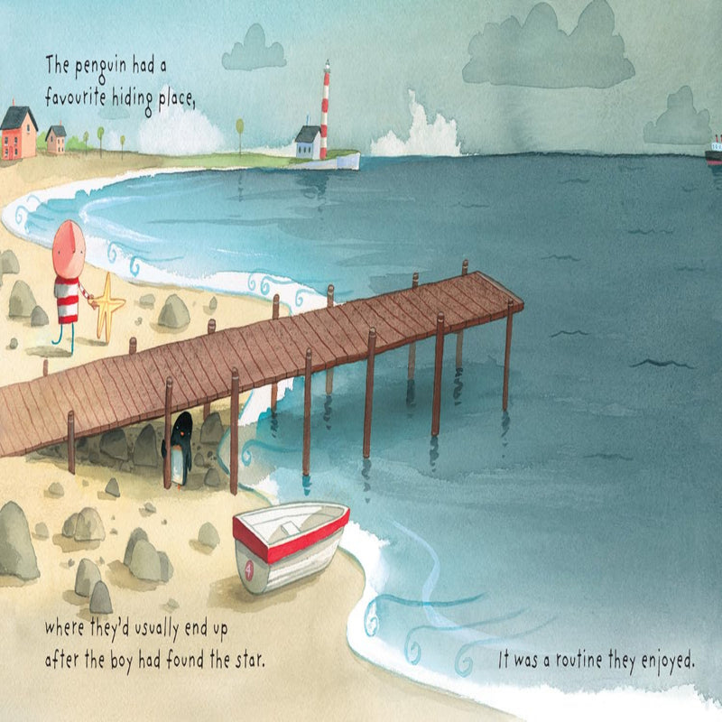 Where to Hide A Star (Age : 3 Years+)