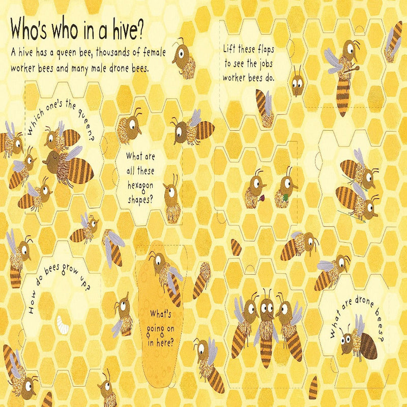 Why Do We Need Bees?