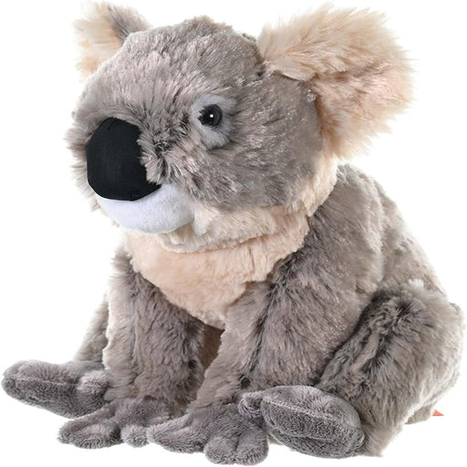 Wild Republic CK Koala-Soft Toy-Wild Republic-Toycra
