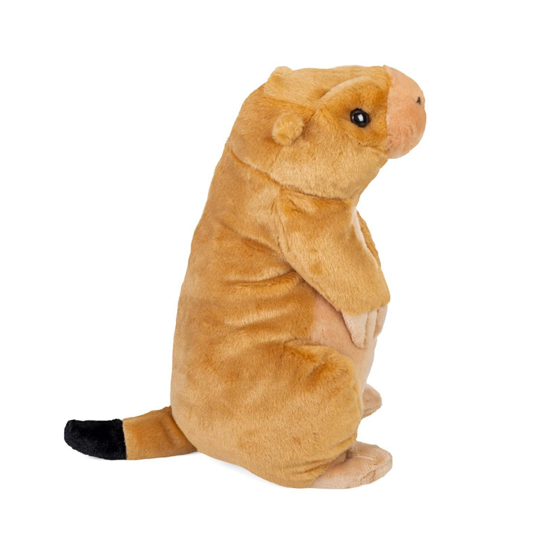 Wild Republic Prairie Dog Plush - 12 Inches