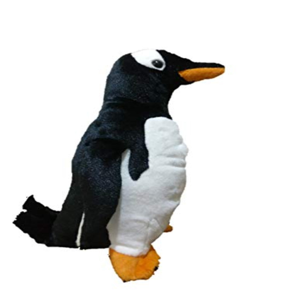 Wild cheap republic penguin