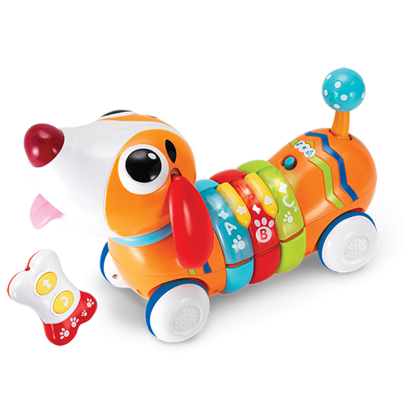 WinFun R/C Rainbow Pup