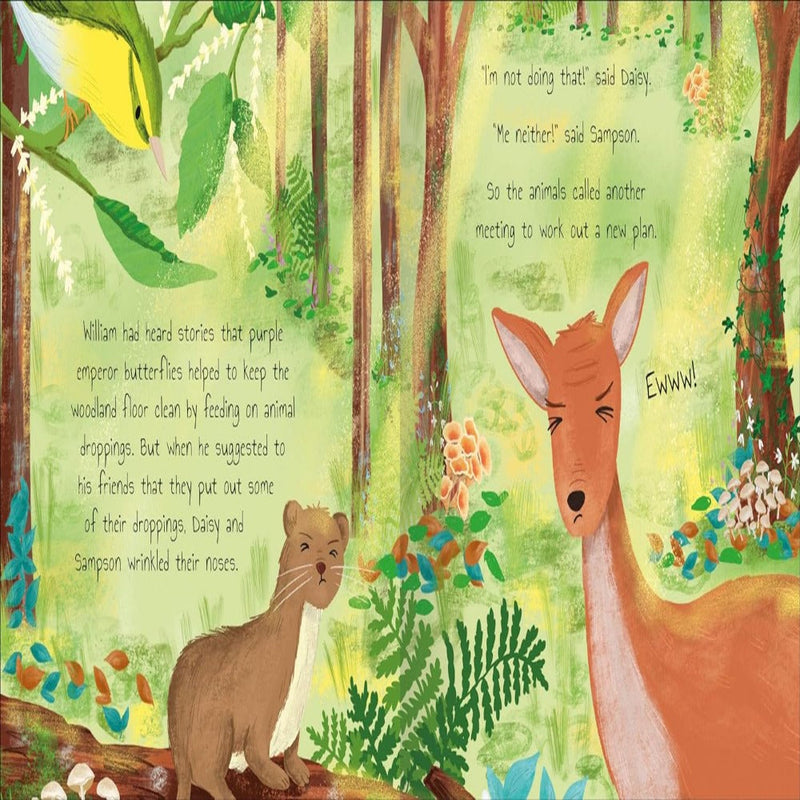 Woodland Tales Blaze The Butterfly