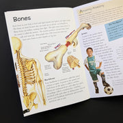 World Of Discovery Educational Box Set
