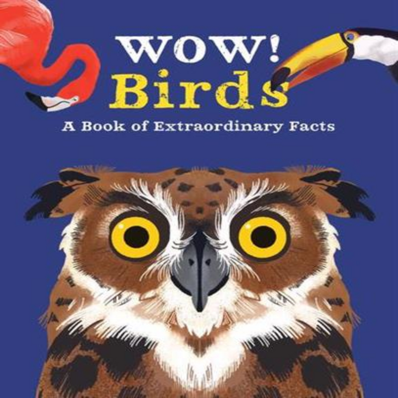 Wow! A Book of Extraordinary facts Series