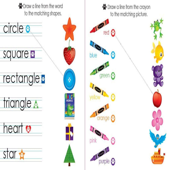 Write And Wipe Shapes, Opposite And More-Activity Books-RBC-Toycra