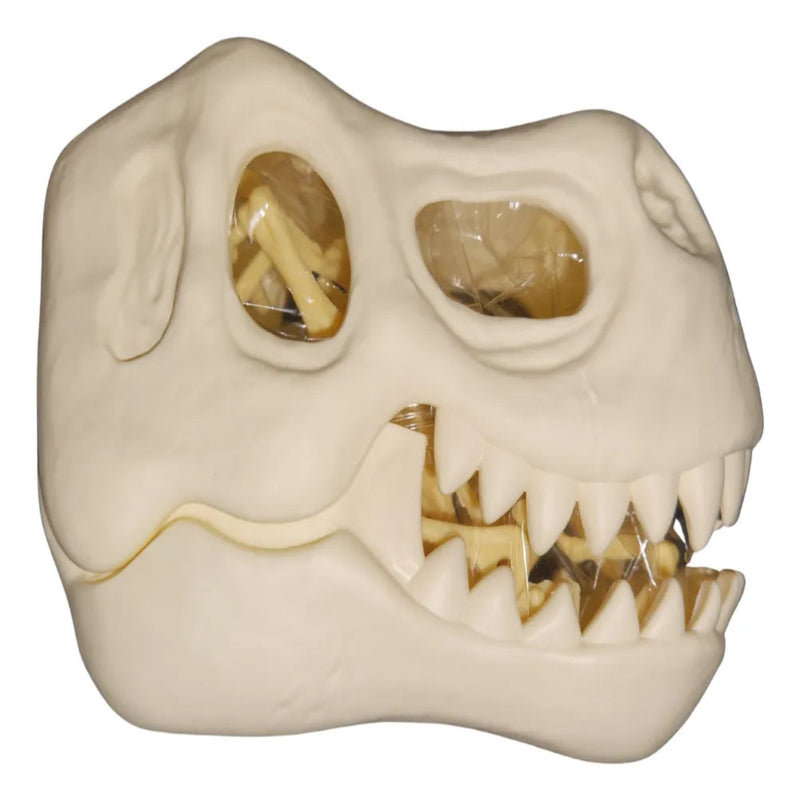 Youreka Dinossauro Fossil Mini Excavation Kit