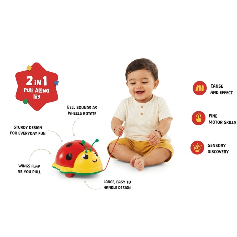 Funskool 2-in-1 Pull Along Ladybug Toy