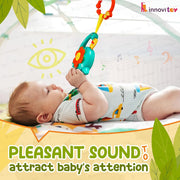 innovitoy Musical Cradle Rattle