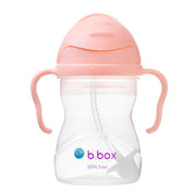 B.box Weighted Straw Sippy Cup 240ml-LunchBox & Water Bottles-B.box-Toycra