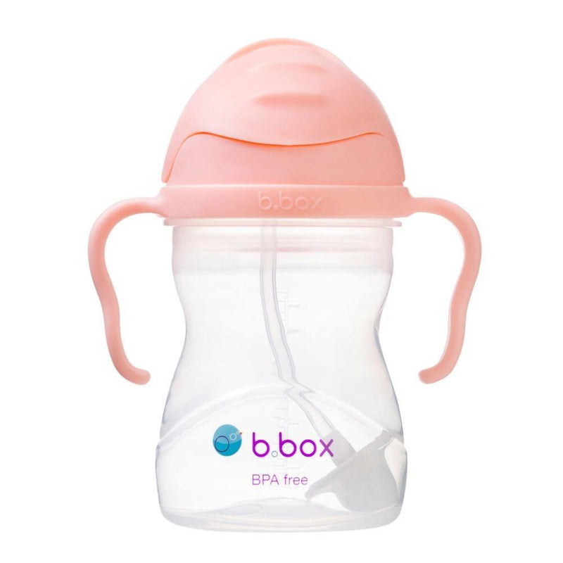 B.box Weighted Straw Sippy Cup 240ml-LunchBox & Water Bottles-B.box-Toycra