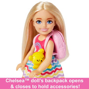 Barbie Chelsea Doll And Accessories