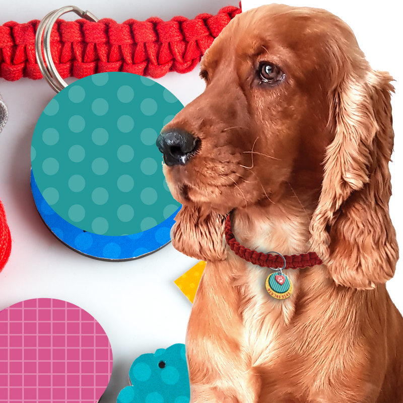 Chalk & Chuckles Pawfect Gifts