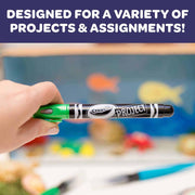 Crayola Project Metallic Outline Markers, 4 Count
