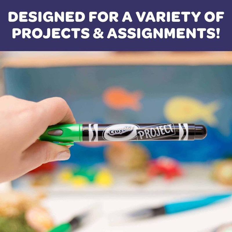 Crayola Project Metallic Outline Markers, 4 Count
