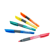 Crayola Signature Pearlescent Paint Markers, 10 Count