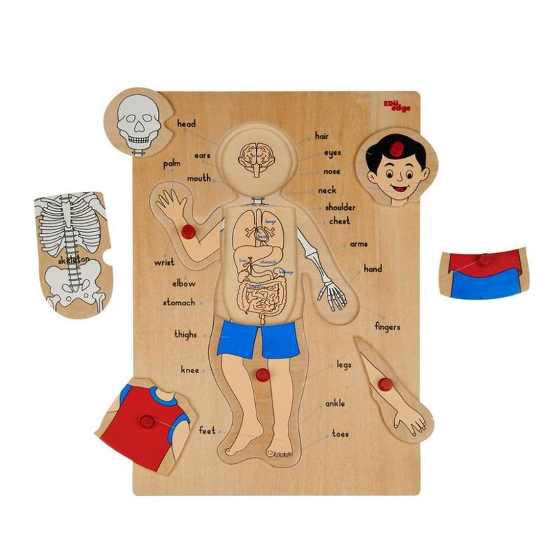 Eduedge Body Parts