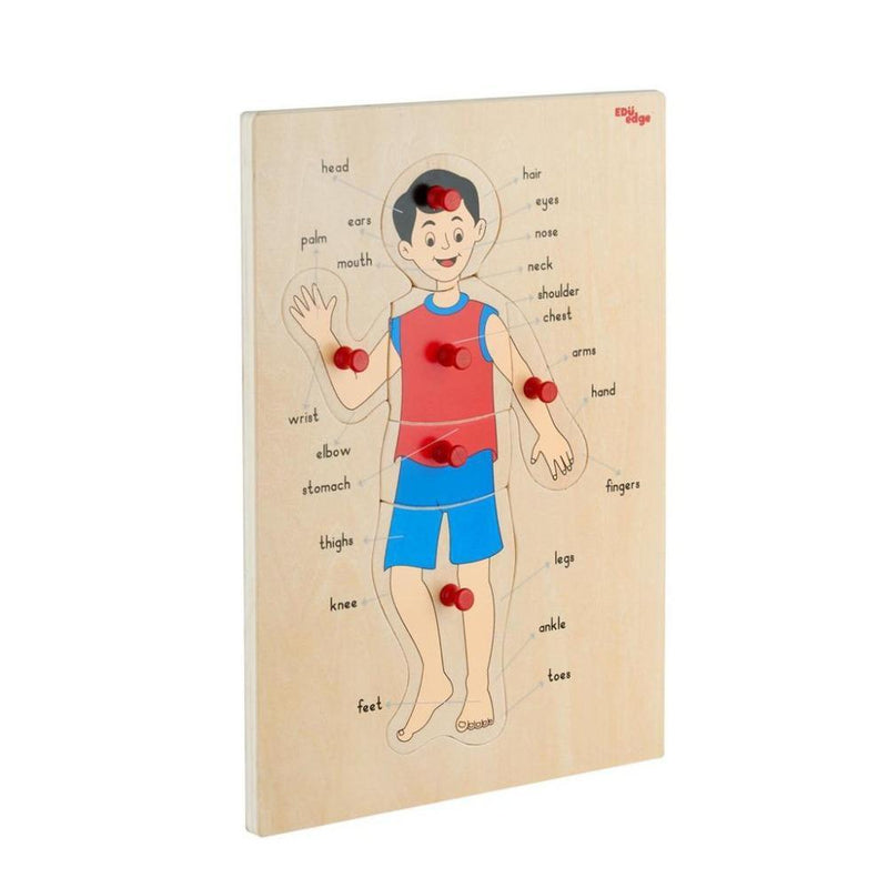 Eduedge Body Parts