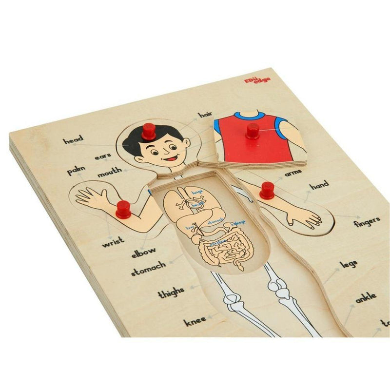 Eduedge Body Parts